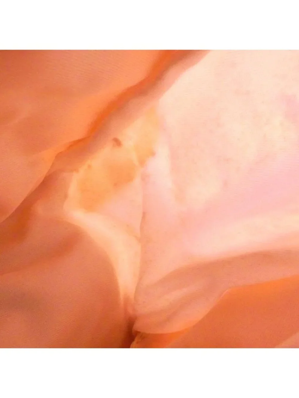 Chanel Travel Line Pink Bag - Picture 6 of 6